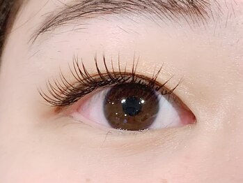 ブリッジバイネオリーブ 綱島店(bridge by neolive)/ミンク80本