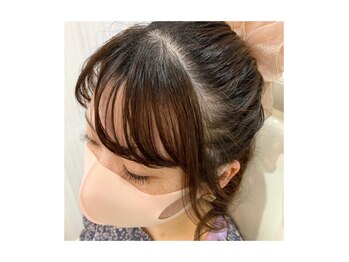 コノハ(KONOHA)/ダークブラウン120本