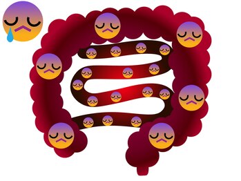 ららのお家/肌荒れの原因は腸にあり!!