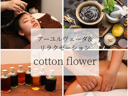 コットンフラワー(cottonflower)の写真