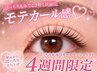[4週間以内]ぱっちり丸みDカールラッシュリフト4300円