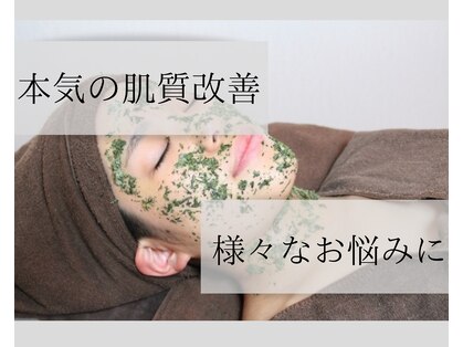 ミカド(MIKADO)の写真
