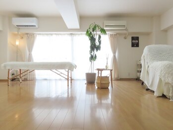 シェアリー(sharely..)/店内は日当たりよく明るいです