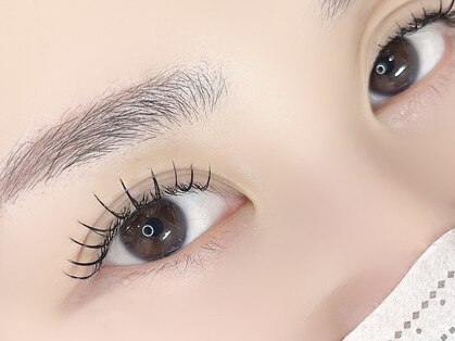 マイマイ(mai-mai)の写真