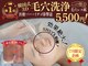 エルフ(elf)の写真