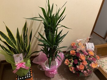 恩(on)/花、花、花