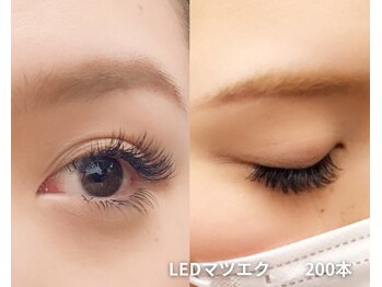 【LEDまつエク専門店】Beauty salon Turuccare /まつ毛で変わる目元の変化