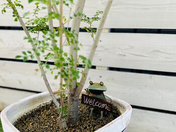 ともしび/米ぬかパワーで復活した奇跡の子