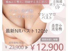 バステト(BASTET)