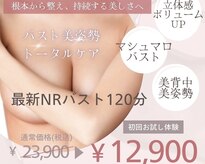 バステト(BASTET)