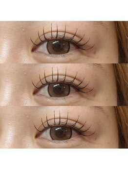 アイラッシュ ベイビーステップ(Eyelash Baby step)/フラットラッシュ120本