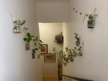 カラーズ荻窪 ネイルラウンジ(Colors Ogikubo Nail Lounge)/荻窪駅からの道案内 【１４】