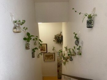 カラーズ荻窪 ネイルラウンジ(Colors Ogikubo Nail Lounge)/荻窪駅からの道案内 【14】