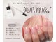 アネラ 表参道(Anela)の写真