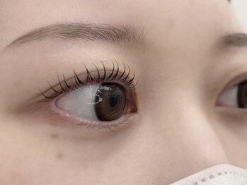 ラ シュープリーム(La SUPREME)/Dカール　ラッシュリフト