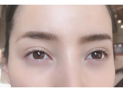 フェリチェート(feliceto)の写真