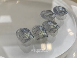 フィルイン/パラジェル/前橋