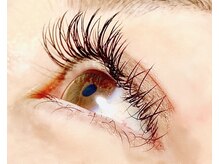 ナップ(Napp)/フラットラッシュDカール120本