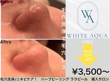 ホワイトアクア 京橋店(WHITE AQUA)