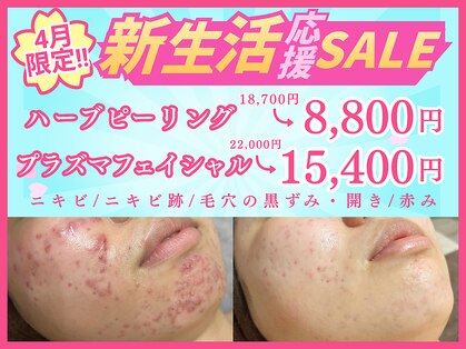 ホリホックの写真