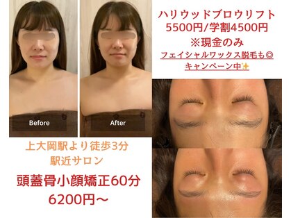 パピヨン(papillon)の写真