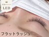 【LEDフラットラッシュ】140本＋TR◎華やかな目元