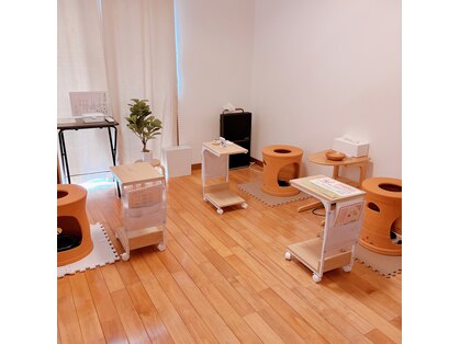 スズモ(SuzuMo)の写真