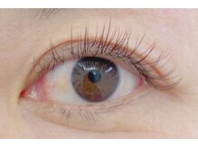 MBL バイ ルシュカ(MBL by LUSHCA)/フラットラッシュ☆彡