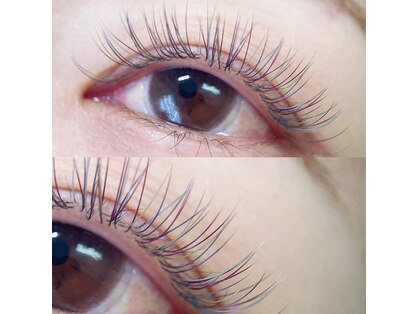 エール(Ailes)の写真