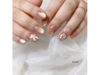 リーノ(Lino)の写真