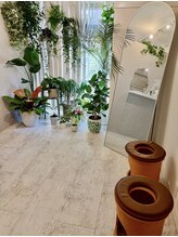 マホロバ(mahoroba)/黄土よもぎ蒸し