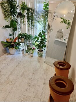 マホロバ(mahoroba)/黄土よもぎ蒸し