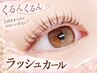 【ネット予約限定、指名不可】まつ毛パーマ★ラッシュカール★3800円★