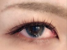 カラン 焼津店(CALIN)/フラットブラウンラッシュ180本