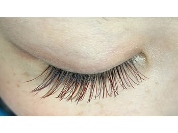 フーム(whom)/カラーフラットラッシュ160本