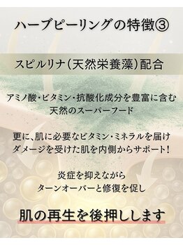 プリュボーテ 吉祥寺(Pul Beaute)/ハーブピーリング特徴 (3)