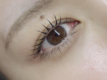 ボニータ(Bonita)の写真/【丁寧な施術×モチの良さ◎】自まつ毛の負担を最小限に抑え、理想の目元に★アイ・ネイル同時施術相談可◎