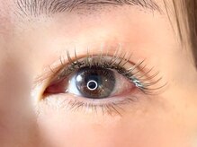 椛(momiji)/Wフラットラッシュ120束