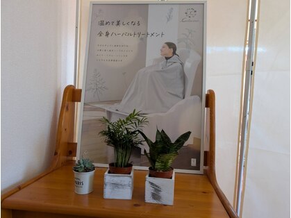 yosa park ゆうゆ(裕癒)光台店 の写真