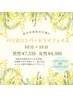 【春のお身体の不調に】バリ式リンパ60＋ドライフェイス30（顏ツボ押し）