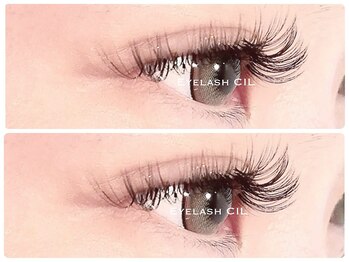 シル 本町店(CIL)/3D volume lash 120*