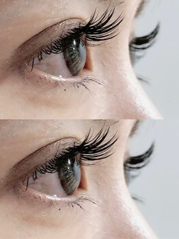 トゥーラッシュ バイ ビーハ(toolash by beha)/