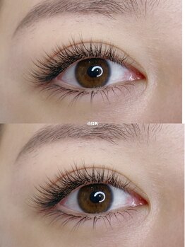 ベルス アイラッシュ/ボリュームラッシュ500本