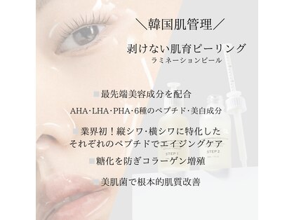 アン(un.)の写真