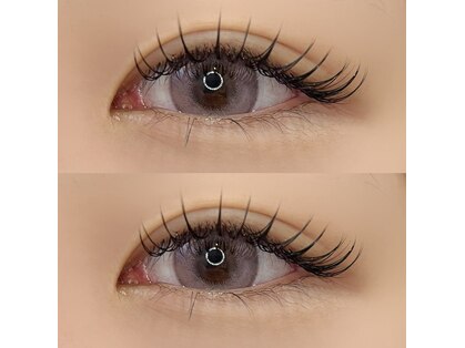 メリア(melia)の写真