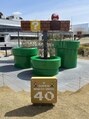 アトリエ エース(ACE) ニンテンドーミュージアム行ってきました。ミニテーマパークです