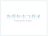 ▼ここからは自由に選べる/オーダーメイドメニュー▼