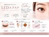 LEDに変更＋￥880