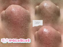 アキネ(Akine.)