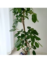 エフアールアイ(f.r.i)/院内風景1